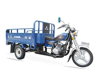 Bicicleta motorizada de 3 ruedas para hombre